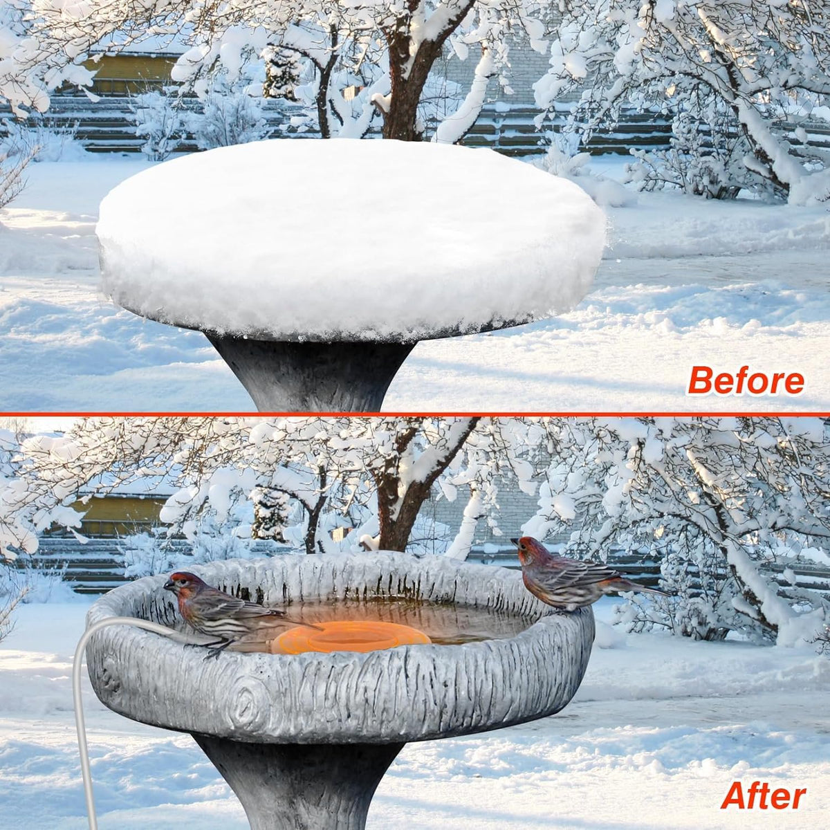 MUSICOZY Bird Bath Heater, 70W 120V Automatic Birdbath Deicer for Winter, Outdoor Birdbaths and Animal Water Bowls, Chicken Coop Water Deicer, 48±5°C Thermostat Control for Patio Garden,3.3ft Cord